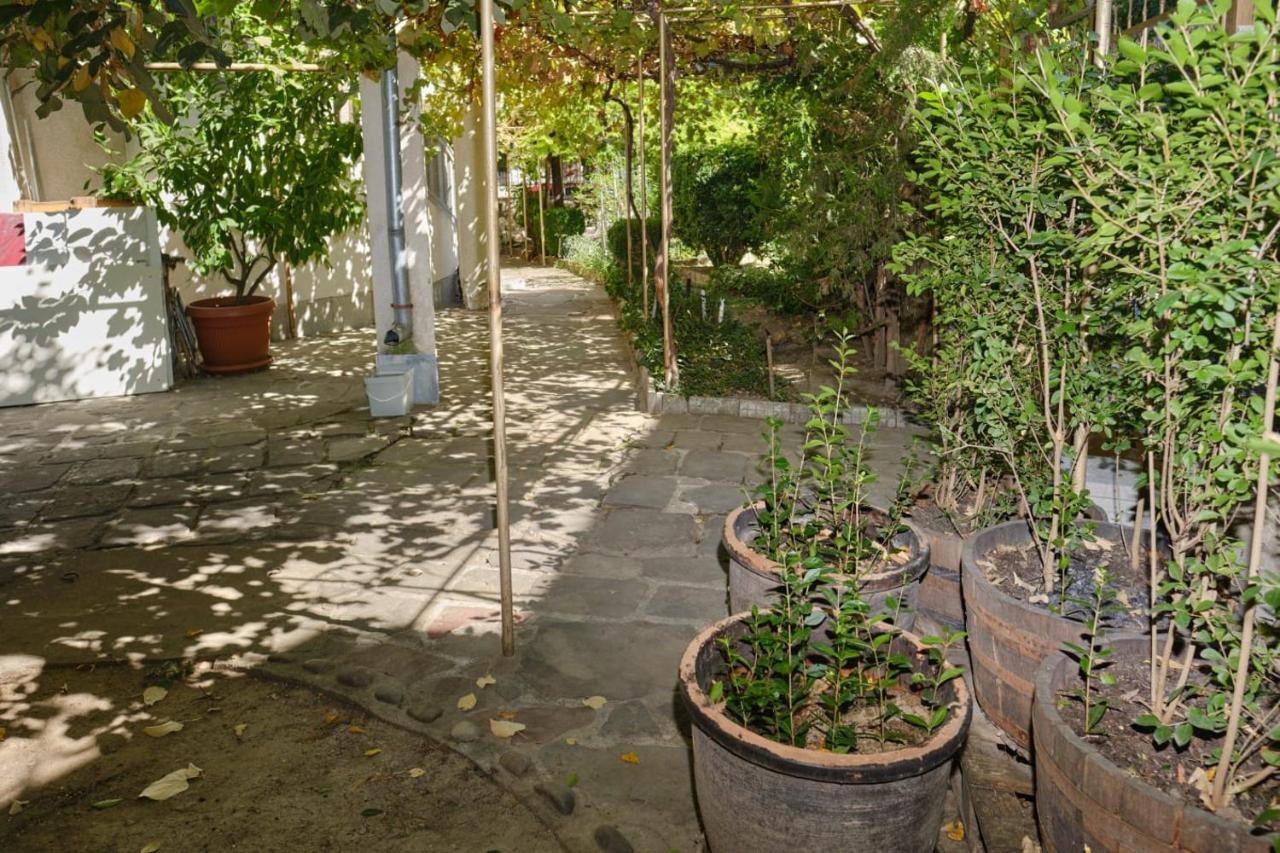 Mushrooms House Pleven Exterior foto